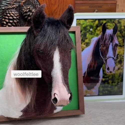 猫と犬以外のペット，pets other than cats and dogs