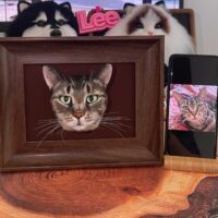 羊毛フェルトアイコンデザイン，Head Style