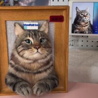 ハーフボディタイプ，Half-body Style