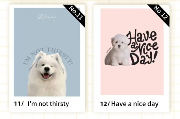 Customized stainless - steel cups with pet designs（1200ML） - Image 7