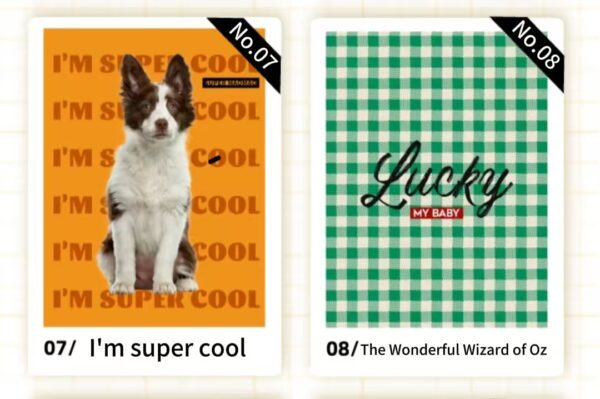 Customized stainless - steel cups with pet designs（1200ML） - Image 5