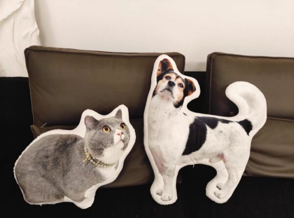 Customized Pet-themed Throw Pillows / Dolls - Image 3